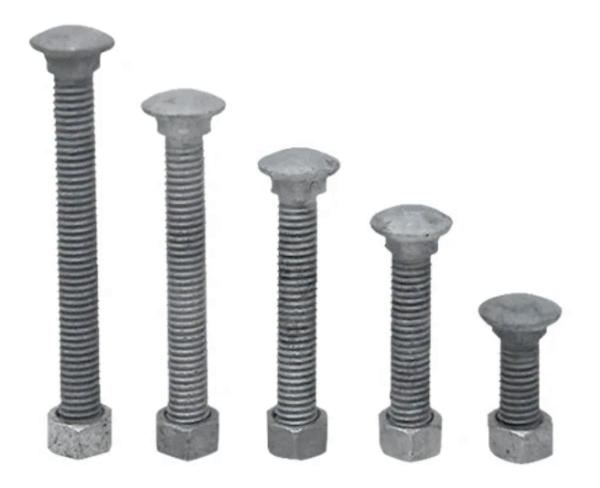 Carriage Bolt 5/16" x 2"